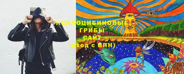 2c-b Верхний Тагил