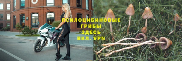 2c-b Верхний Тагил