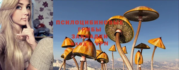 ECSTASY Верея