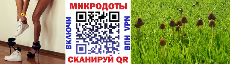 Псилоцибиновые грибы Psilocybe  где купить наркоту  Волчанск 
